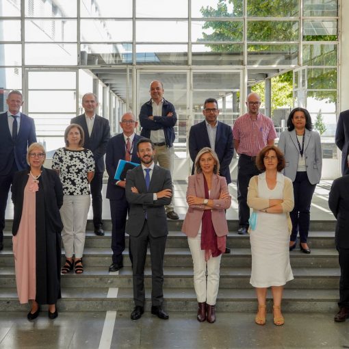 conselho consultivo
