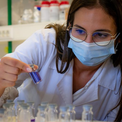 investigacao