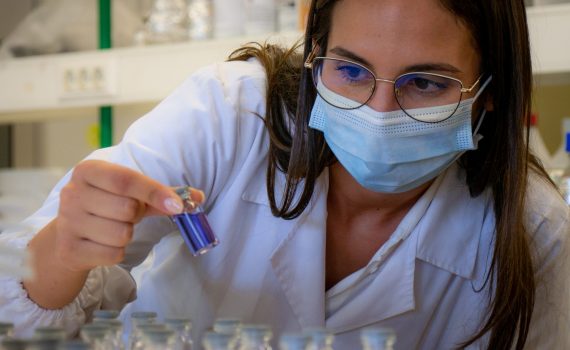 investigacao