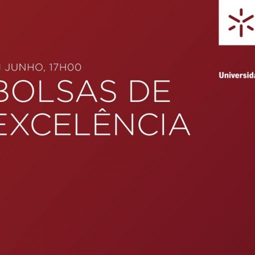 bolsas excelencia