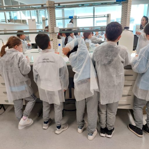 pequenos cientistas