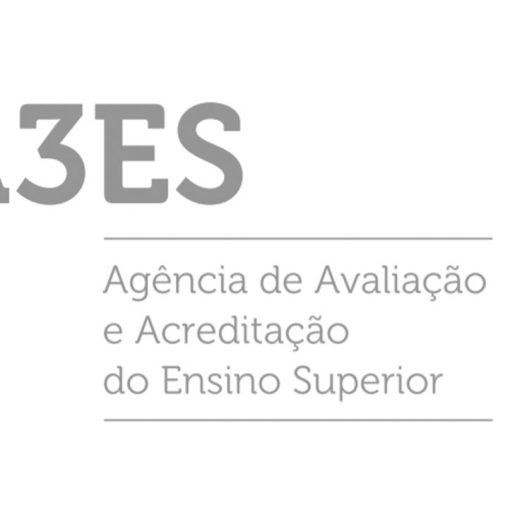a3es
