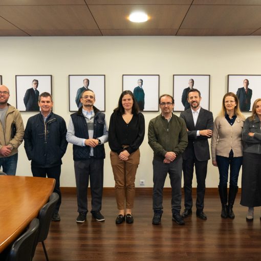 grupo cmems