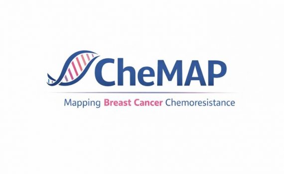 chemap